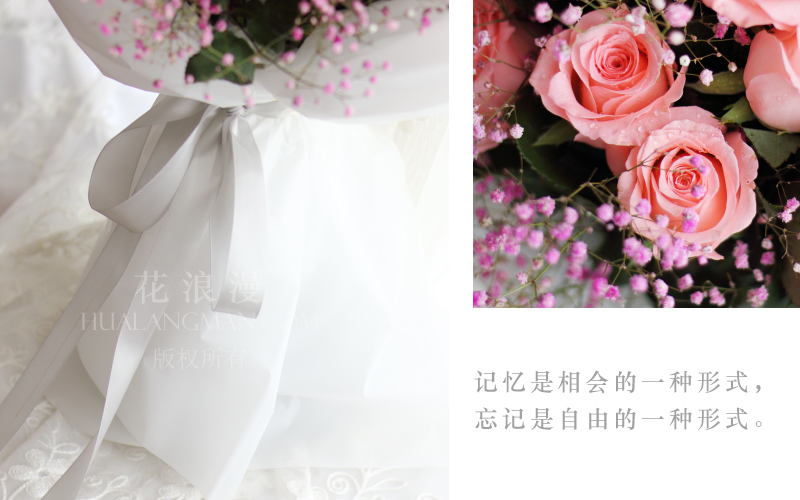 冰清玉洁 - 花浪漫
